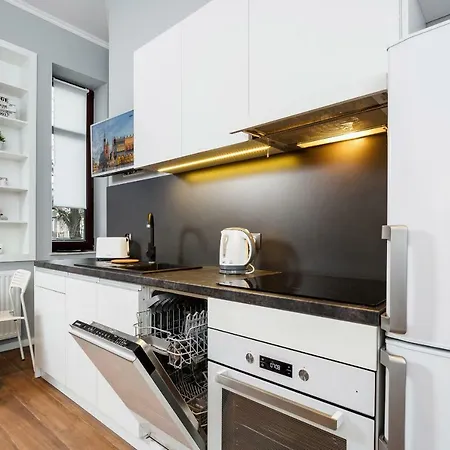 Borowickiej By Renters * كراكوفيا